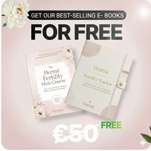 Mini-Course + 90-Day Fertility Tracker